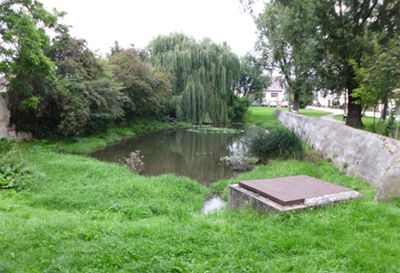 Sanierung und Renaturierung des Teiches – Stobenteich im Ortsteil Welsleben